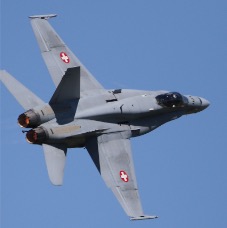 SwissAF F18C Display 2015-7.jpg
